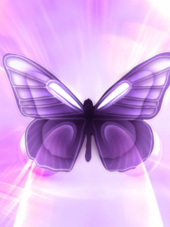 240x320 pink purple butterfly mobile wallpaper