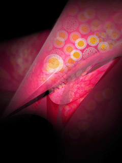 onixblack mobile wallpaper