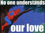spiderman no one understands our love meme