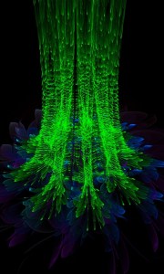 blackberry z10 wallpaper nokia lumia 1020 768x1280