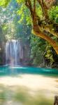 Beautiful beach trees waterfall nature wallpaper mobile