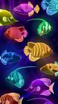 Colorful fish mobile phone wallpapers 720x1280